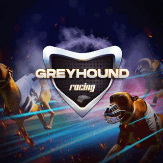 Virtual Greyhounds thumbnail